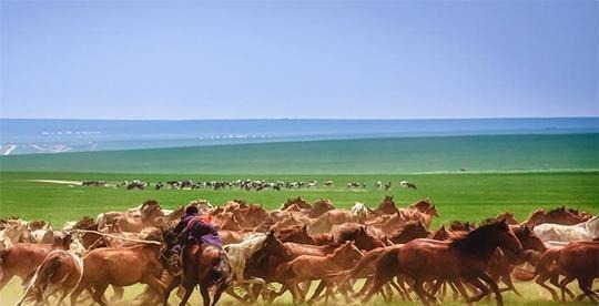 兄弟|流传了1700年的兄弟之歌智者的筹谋,吐谷浑兴起的第一步