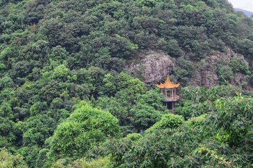 铃声|太美啦！观音山这条惊艳时光的风铃许愿长廊，藏着的是诗和远方！