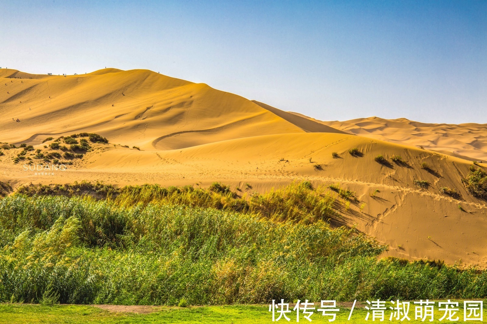 鬼魅碛|世界上唯一与城市相连的沙漠，唐代称“大患鬼魅碛”，神秘又险恶