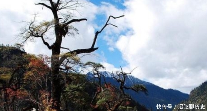 西藏南伊沟：风景秀丽，充满着特色民族风情，令人沉醉其中