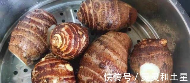 差别|买芋头,究竟是芋头母好还是芋头子好,老菜农别吃错,差别很大!