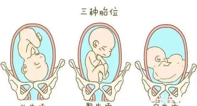 准妈妈|准妈妈肚子何时“偷偷”变大的孕期是否显怀,跟4个因素有关