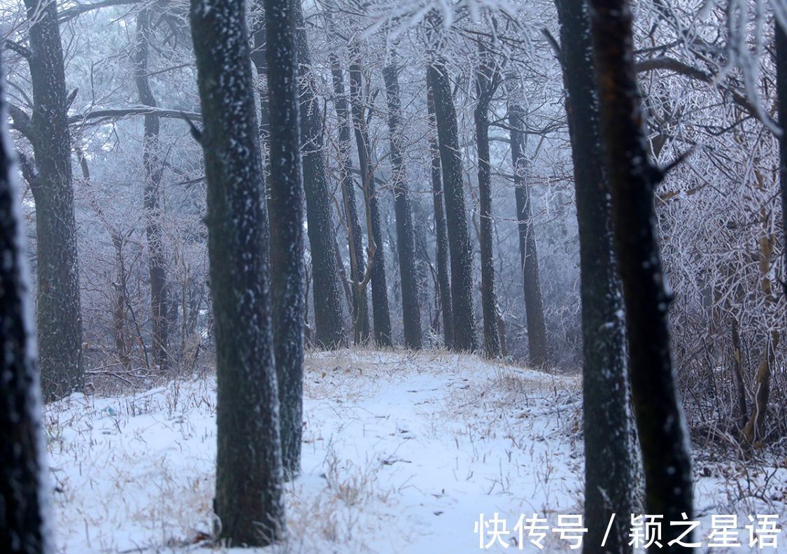 船山|宁波最高峰，冰雪奇缘，到底谁是NO.1