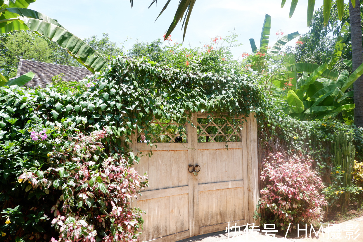 一人|向往的生活蘑菇屋收費參觀,20元一人還送果汁,小院實在太美了