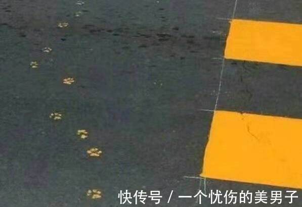 |搞笑图片幽默段子笑话:骑摩托车就要小心点呢,出事故了吧?