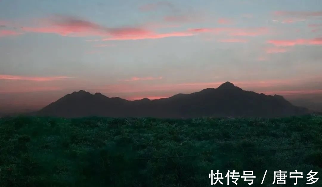 墨西哥!这本书不到8万字,让我们看到孤独是人生的常态