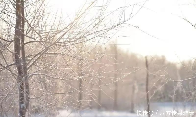 胡杨林|金塔下雪了，我们一起去金塔沙漠胡杨林踏雪可好