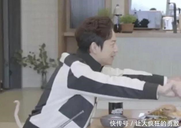 明星错位照肖战穿毛裤,何炅长出尾巴,看到周震南不解释下!