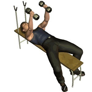 动作|上斜卧推末尾，加入1个哑铃飞鸟动作，更有效刺激上胸肌肉