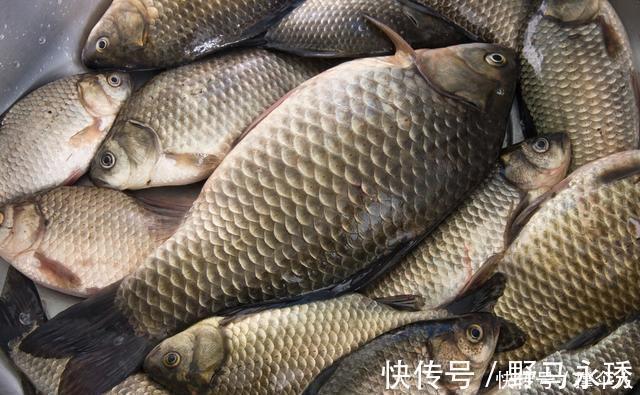 钓友|相同饵料相同线组,只因一把剪刀就多出半数渔获---皇禾钓具