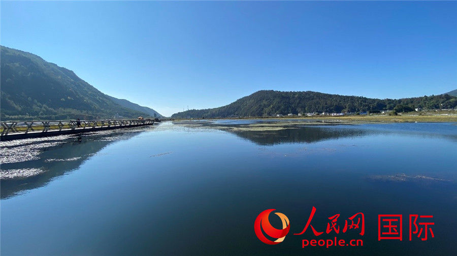 保护区|北海湿地保护区，一座神奇的“水上草原”