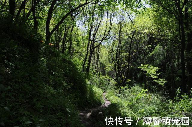 秦岭大山|好诡异！独自徒步空无一人的秦岭大山，突然出现一栋荒废的老屋