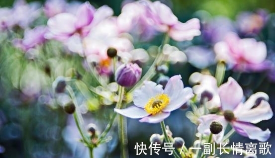 双子|2周后,旧情纠缠,痴心难忘,误会解除,破冰和好,余生如胶似漆