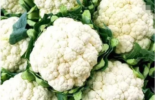 这个菜是穷人的医生,多种病症的“杀手”,还防血管问题!