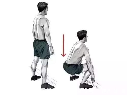 健身|健身为什么要练腿呢？练腿与不练腿有什么区别？原来是这样