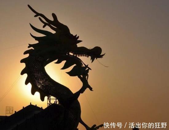 低头族与长期伏案工作者,一款“游龙功”送给你调养脊椎保健康