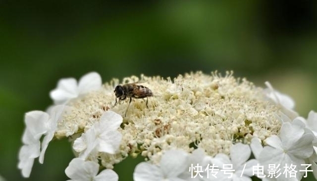 相随|近几天情意难挡，旧爱回归，重拾往日温情，一世深情一生相随