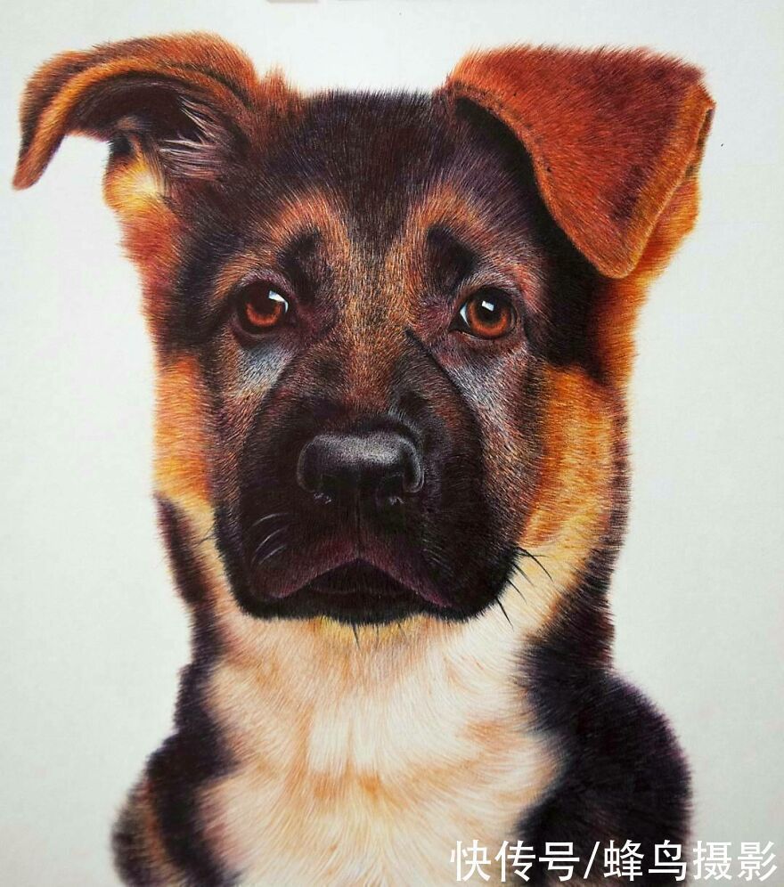 肖像&有这水平还要相机干嘛?30张圆珠笔画,图1画了一个月细到毛孔