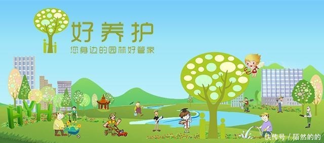 她只养了1种花,1米小阳台却开成花海!她只养了1种花,1米小阳台却开成花海!