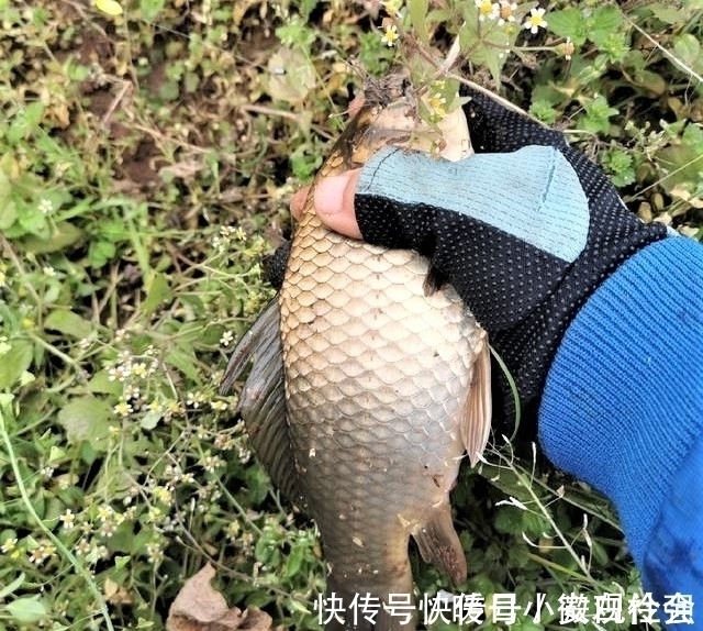 四钓二与调平钓二|野钓时调四钓二与调平钓二,哪种调漂方法更好?