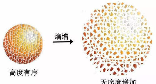 科学家 一个让人感到绝望的物理定律,科学家纷纷表示宁愿当初没发现它