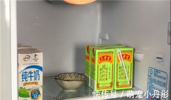 白醋倒入手心搓一搓,用途花钱都难买,不知道亏大了,学到赚到?