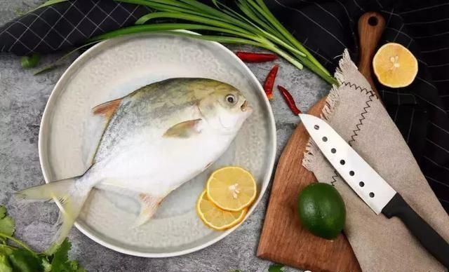 年龄段|作为一种优质鱼类,全身只有一根大刺,适合所有年龄段