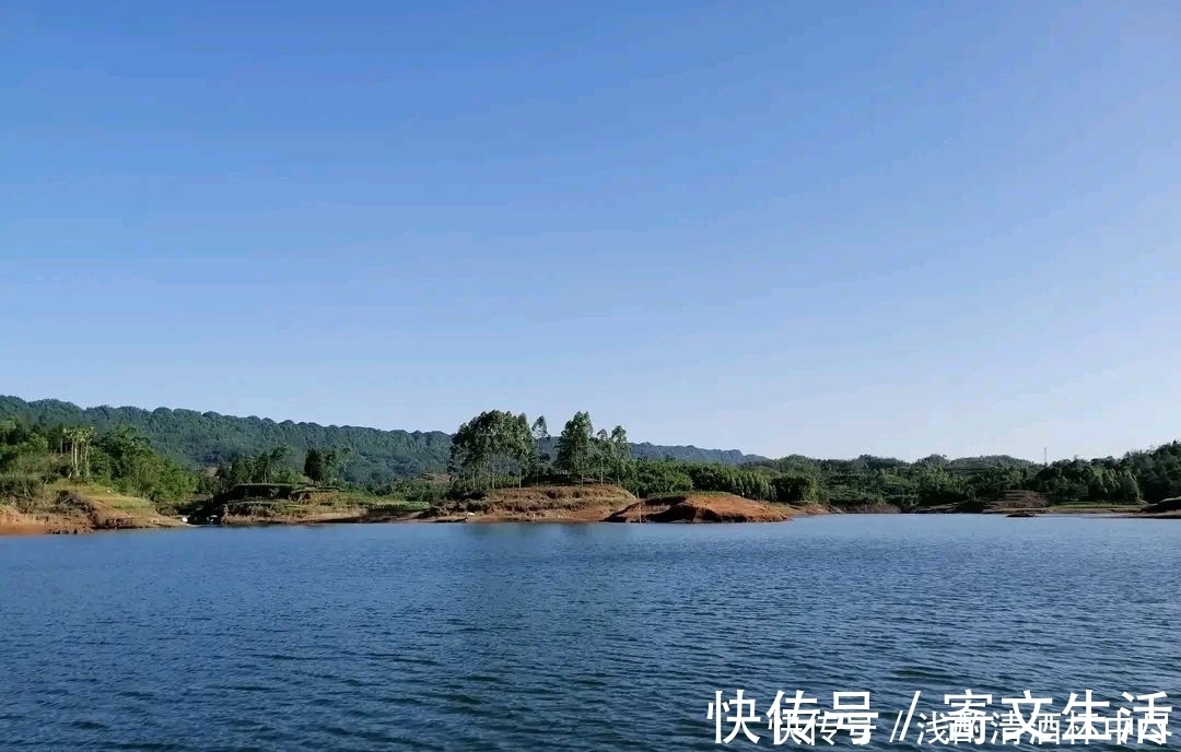 毒鱼|野生鱼越来越少,是因为钓鱼人造成的,钓鱼人:这个锅我们不背