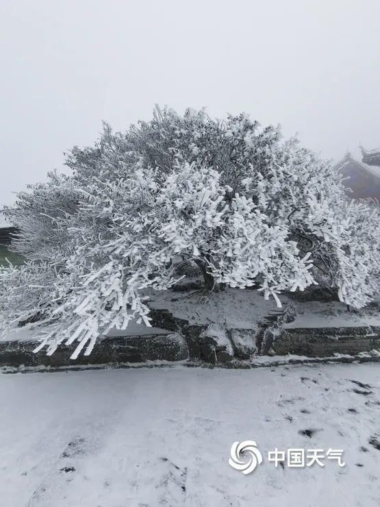 【天气奇观】梵净山惊现瀑布云海