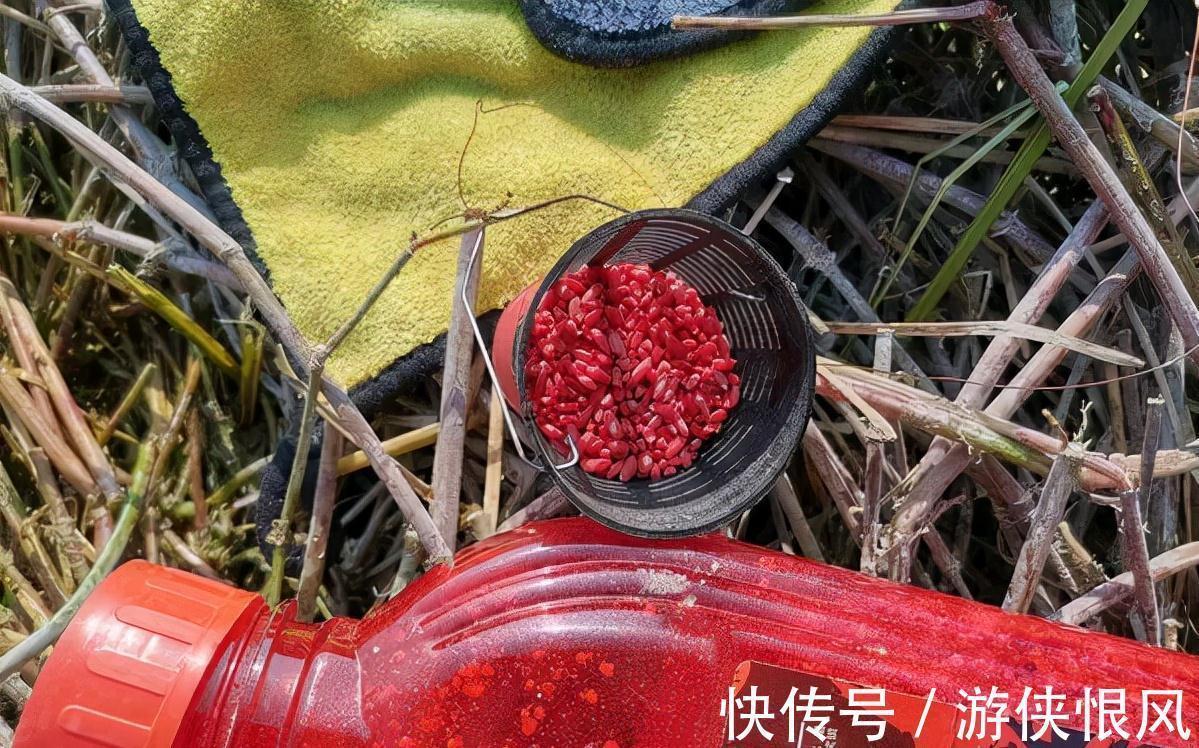 水草倒伏的野河,试一试长竿短线,只要这样做,鲫鱼一条接一条