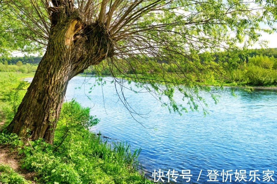 疏肝理气|胆结石、乳腺增生、月经不调,女人身上的常见病,皆因肝气郁结!