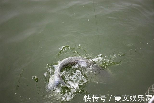 技巧|钓到大鱼不要慌,这些溜鱼技巧来助你,让大鱼乖乖上岸