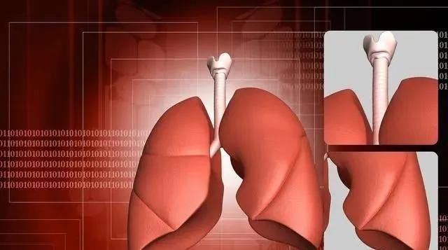 阿是穴|养心、养肝、养肾、养肺、养脾,养五脏方法齐全了