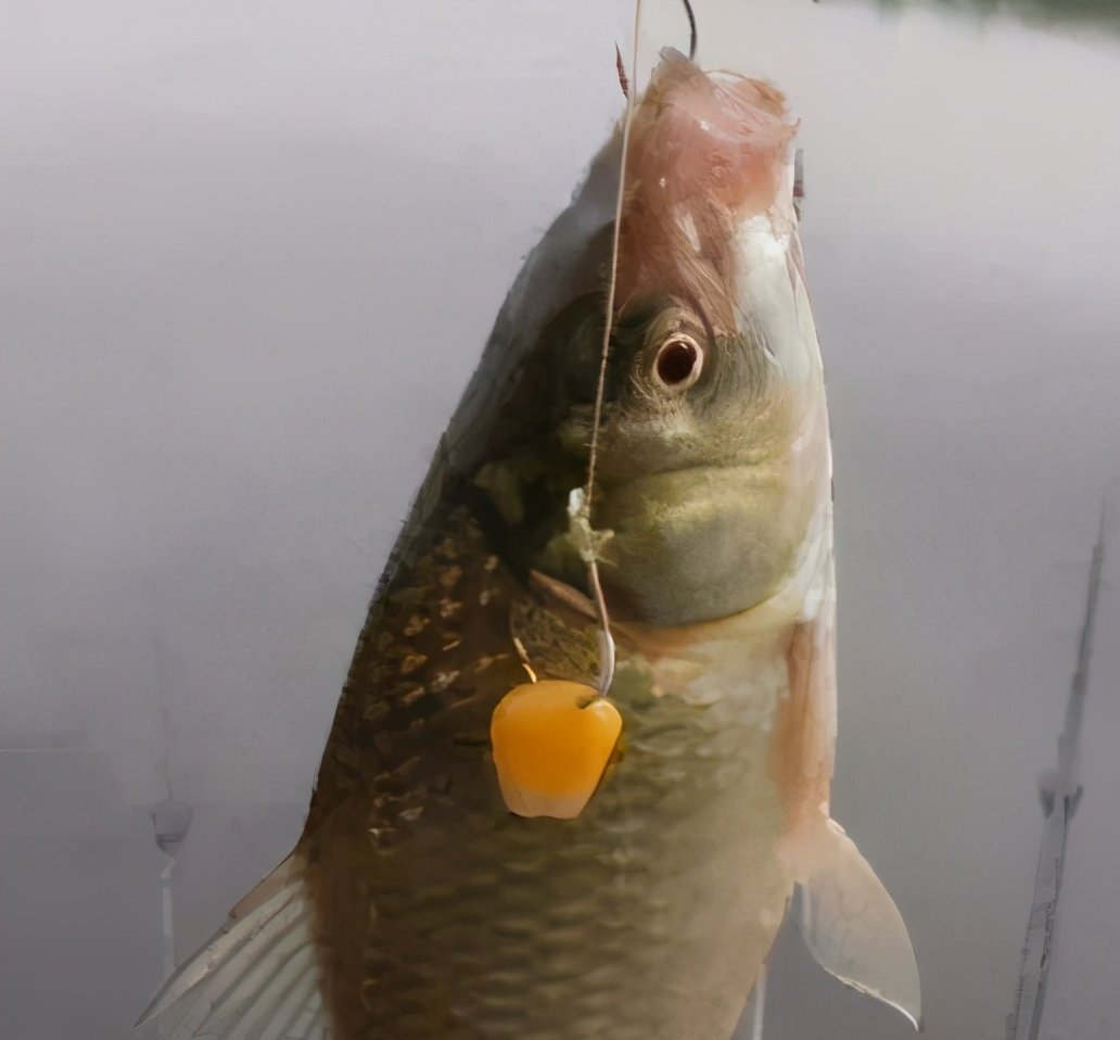 钓鱼调漂技巧!浮漂调漂别搞得太复杂,一看就会调漂方法!