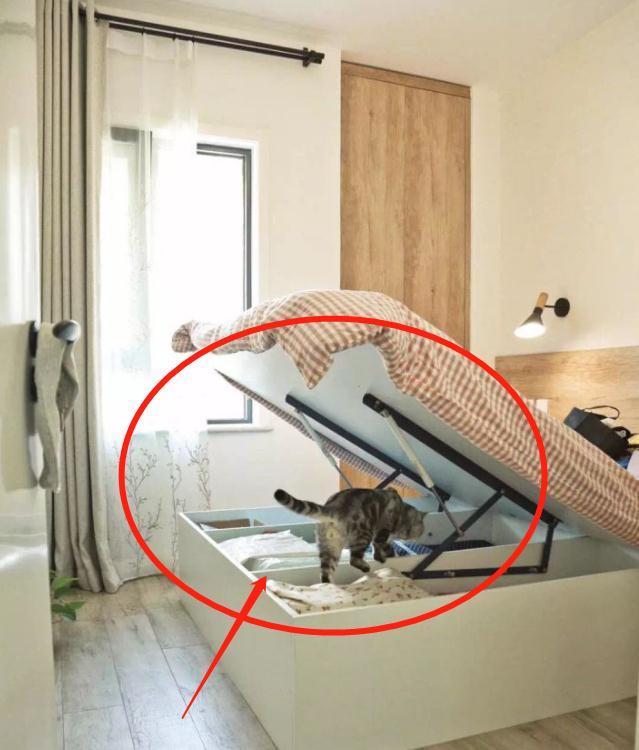 过门石|刚搬家就脑壳疼！烧光毕生积蓄惨中15大装修坑！誓死都要讨回公道