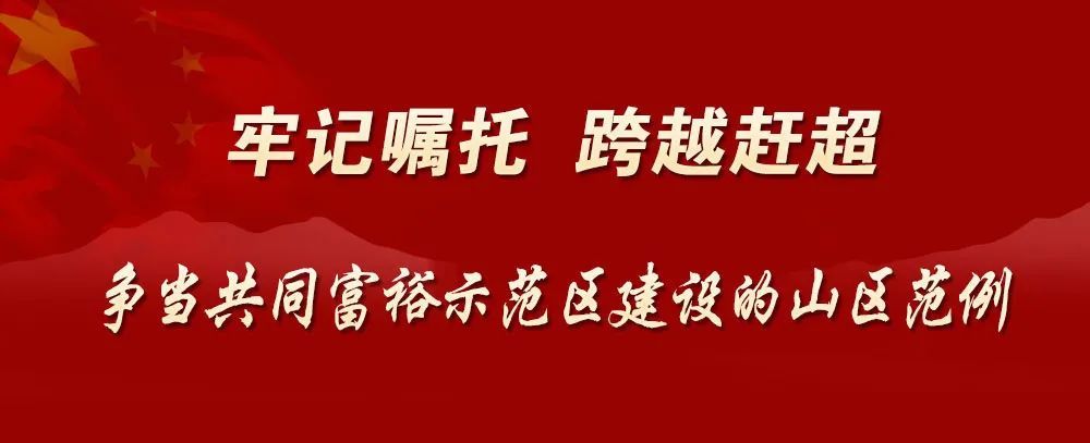 田健晖调研庆元青瓷历史文化|随宋韵之风 扬庆元之名 | 历史文化