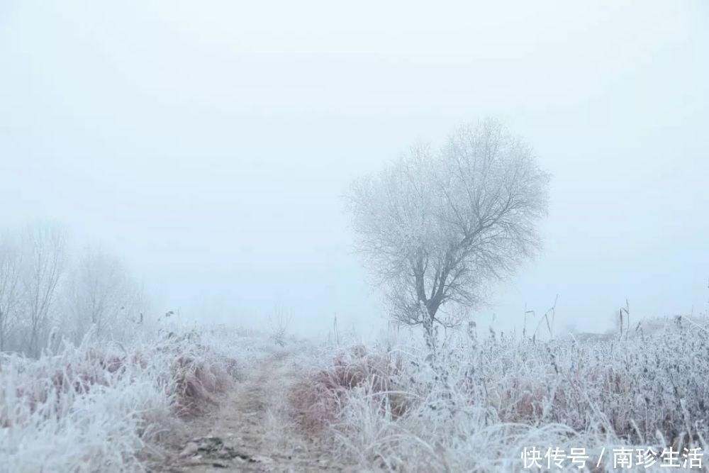 咏雪诗词！这9首咏雪诗词，不带一个雪字，却写尽雪之美！叹为观止