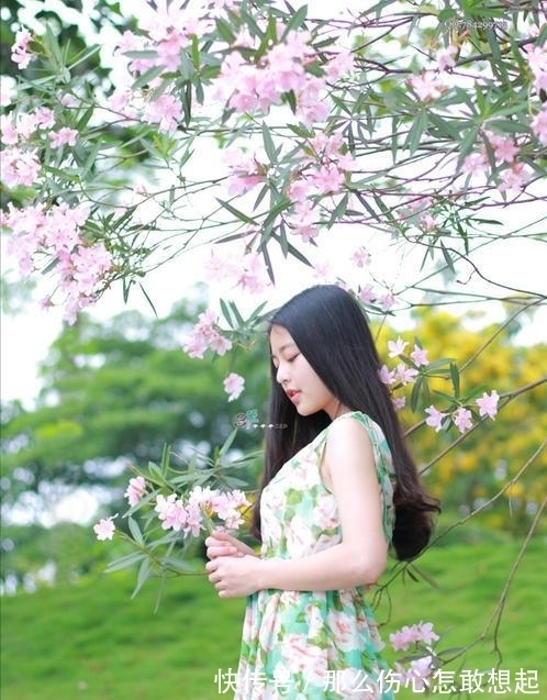 数据库|漂亮的有毒花,认识20种“大毒花”,涨知识不吃亏