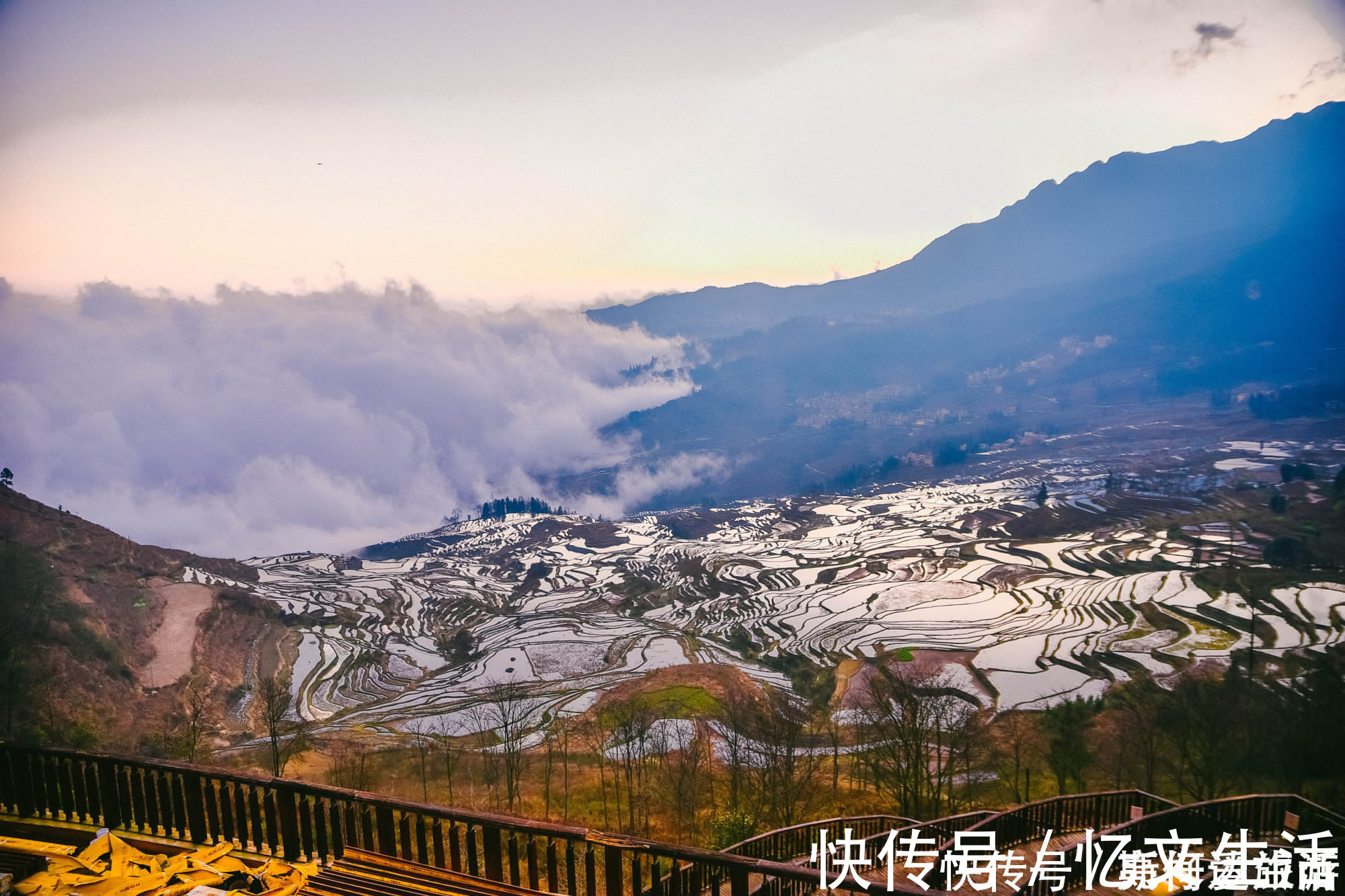 元阳县|中国最大梯田，3700阶梯田像直插云海的天梯，游客：第一次见