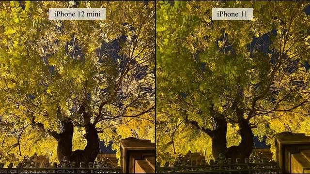 对比|iPhone12mini和11拍照对比：挤牙膏般的提升，不值得升级替换