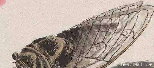 齐白石的《蝉》为何能拍出8亿天价放大40倍再看,细节决定一切!