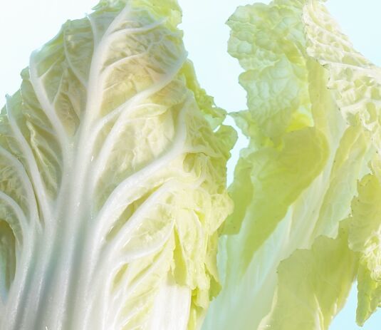 胃熱要注意清胃火