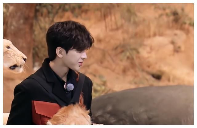 奔跑吧9|奔跑吧9:杨颖险些摔倒,郑恺急得喊出昔日爱称,不怕苗苗吃醋?