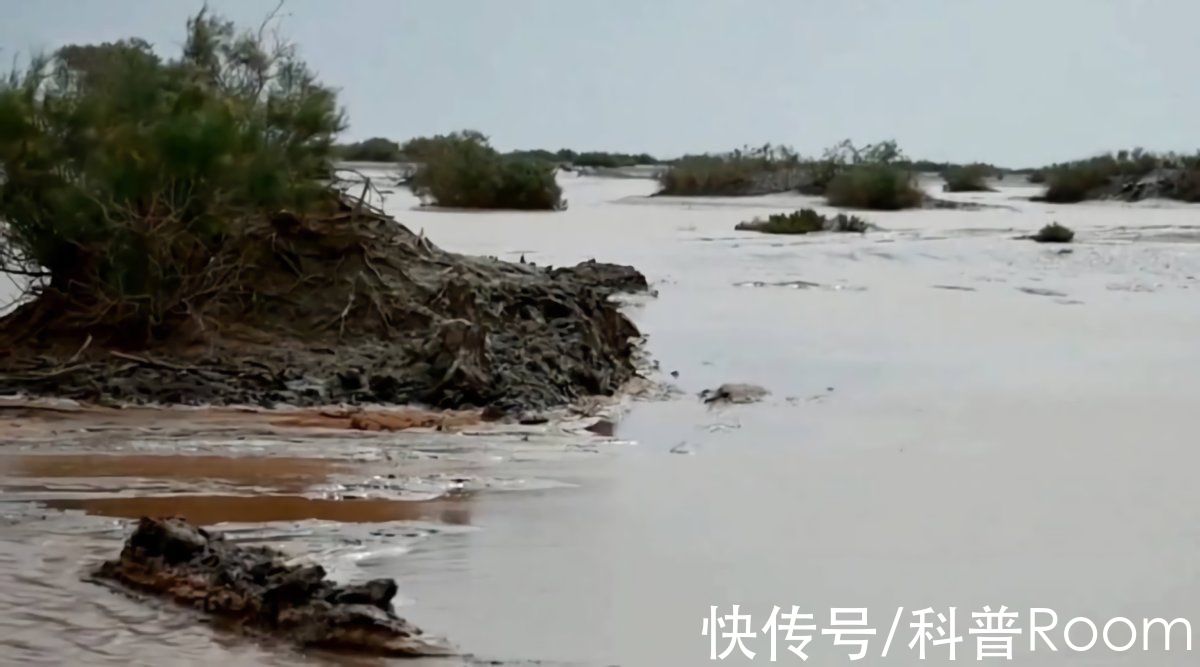 温暖期|天宫粮仓漏了？河南多地下起了“长粒香型”大雪，为何有人会害怕