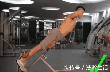 动作|分区域练背,把落后的部位练成优势,打造更强更壮的背部