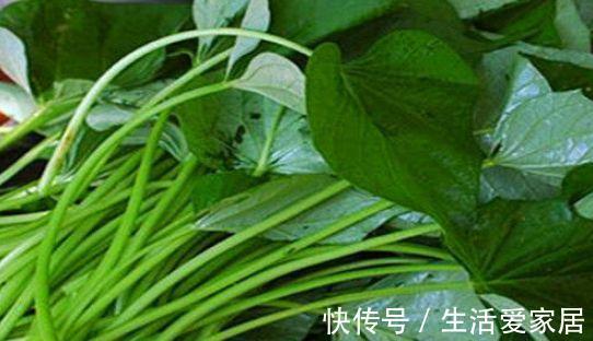 冬病夏治|秋季养生不能少的食物,促进身体代谢,美容抗衰,气色更好