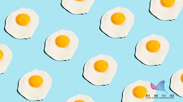 母鸡|这样的鸡蛋是"激素鸡蛋"?网传鉴别方法可靠吗?