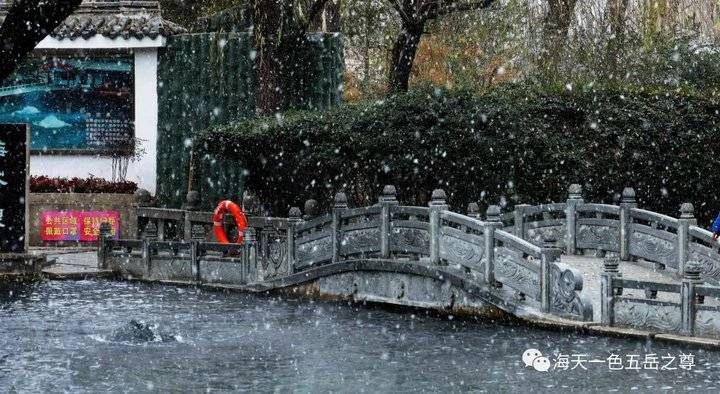 百脉泉|雪泉共舞，百脉氤氲：泉城第一场雪，百脉泉飞花穿庭，盛雪芳华