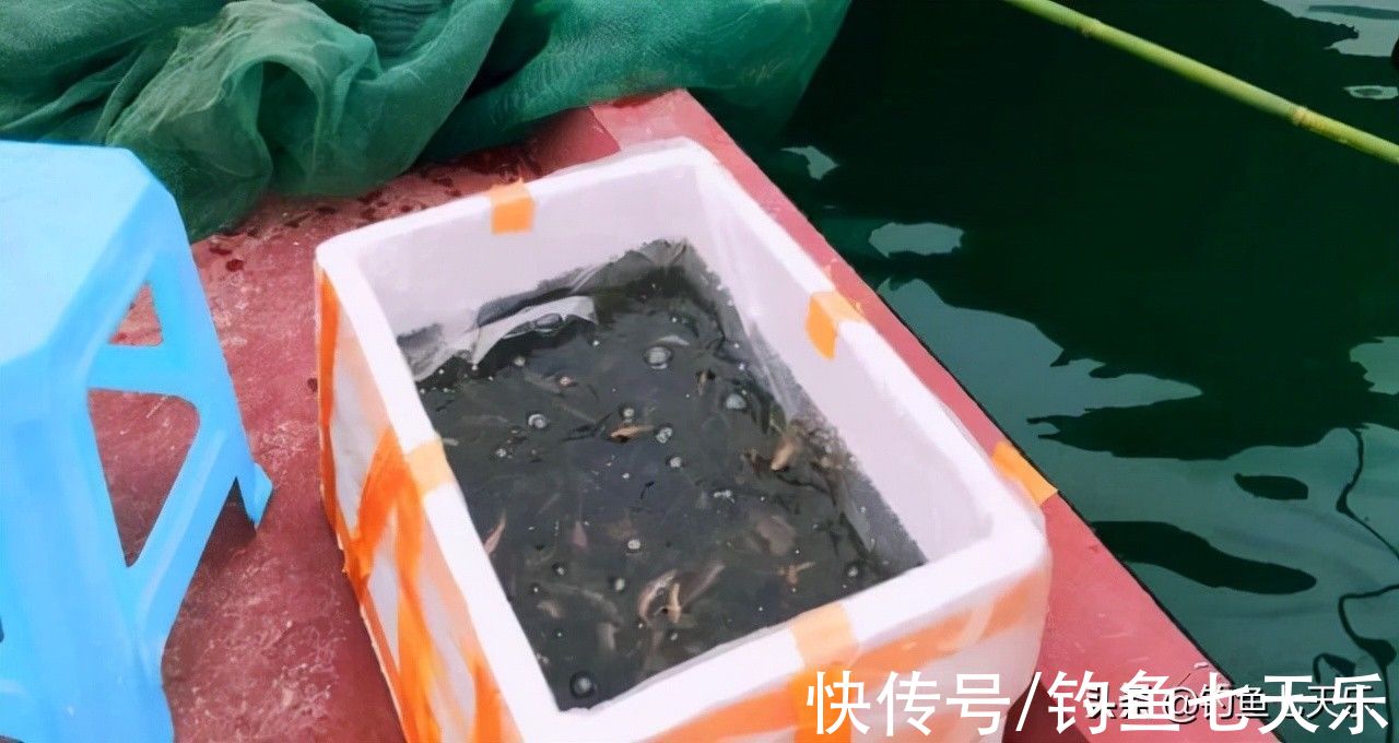 用泥鳅垂钓，湖南三名“假钓友”被抓！现场查获59公斤翘嘴鱼