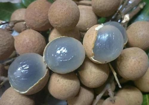 4物|女生来“大姨妈”时,使劲儿吃4物,排出子宫污血,瘦出小蛮腰